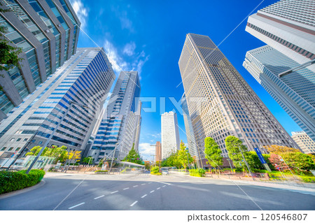 Tokyo, Shinjuku skyscrapers Tokyo, Shinjuku skyscrapers 120546807