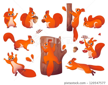 Cute little squirrels. Cartoon red haired forest rodents with acorns, nuts and berries, funny animals storing food for autumn winter decor, adorable character vector isolated on white set Cute little squirrels. Cartoon red haired forest rodents with acorns, nuts and berries, funny animals storing food for autumn winter decor, adorable character vector isolated on white set 120547577