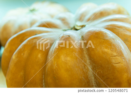 market decoration farm harvest holiday food agriculture october halloween orange market decoration farm harvest holiday food agriculture october halloween orange 120548071