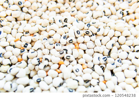 uncooked organic natural ingredient vegetable healthy bean vegetarian dry market raw food uncooked organic natural ingredient vegetable healthy bean vegetarian dry market raw food 120548238