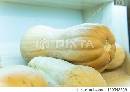 seasonal white rustic fresh harvest produce farmers season market background october seasonal white rustic fresh harvest produce farmers season market background october 120548239
