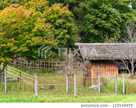 Autumn scenery of the watermill Autumn scenery of the watermill 120548450