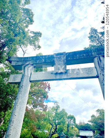 宗像神社的鳥居 宗像神社的鳥居 120548954
