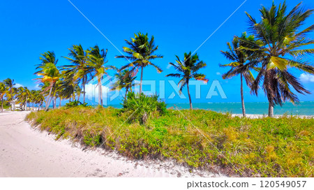 Beautiful tropical beach on Key Biscayne Miami 120549057
