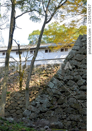 Uwajima Castle: Former Yamazato Warehouse and the Stone Walls of the Site of Tobeimaru Uwajima Castle: Former Yamazato Warehouse and the Stone Walls of the Site of Tobeimaru 120549267