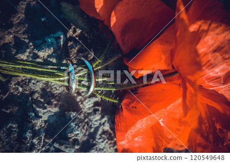 Set of Wedding Rings in poppies 120549648