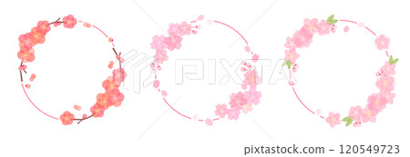 梅花、桃花、櫻花圓框 梅花、桃花、櫻花圓框 120549723