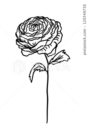 Flower monochrome one line. Minimalist contour drawing rose. hand drawing. Not AI, Vector illustration Flower monochrome one line. Minimalist contour drawing rose. hand drawing. Not AI, Vector illustration 120549738