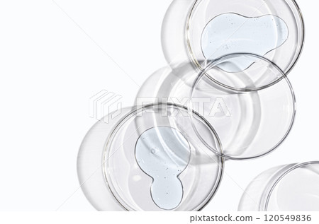 Skin serum or body gel in a Petri dish. Cosmetic product 120549836