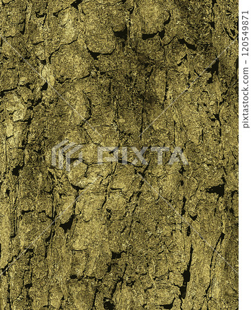 Vector illustration of Bark Background of European Horse Chestnut Aesculus hippocastanum. Tree bark background. Vector illustration of Bark Background of European Horse Chestnut Aesculus hippocastanum. Tree bark background. 120549871