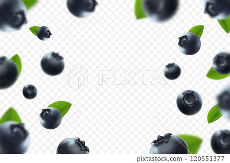 Blueberry background. Fresh berry with green leaves on transparent background. Flying defocusing blueberry berries. 3D realistic fruits. Falling blueberry. Nature product. Vector illustration. Blueberry background. Fresh berry with green leaves on transparent background. Flying defocusing blueberry berries. 3D realistic fruits. Falling blueberry. Nature product. Vector illustration. 120551377