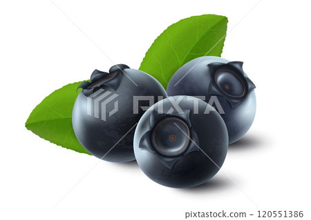 Vector 3d realistic raw blueberry with green leaves, isolated on white background. Ripe berries full of nutritions and vitamins, juicy fresh cooking ingredient. 120551386