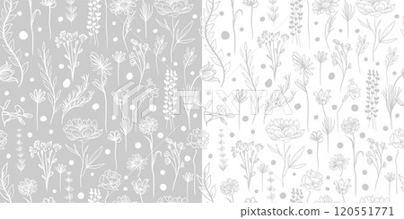 Seamless white and grey pattern grass and flowers. hand drawing. Not AI, Vector illustration. Seamless white and grey pattern grass and flowers. hand drawing. Not AI, Vector illustration. 120551771