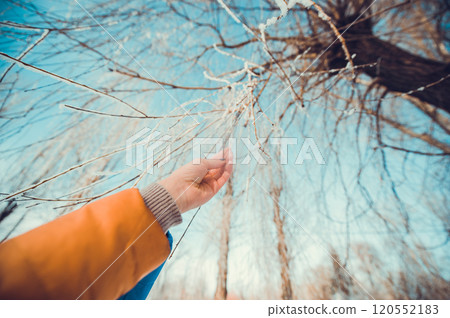 Concept tree frozen hands 120552183