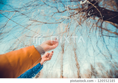 Concept tree frozen hands Concept tree frozen hands 120552185