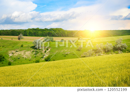 Hilly landscape, wheat field, meadows and a bright sunrise. 120552199