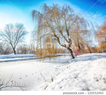 Stunning landscape in city park with snowy trees and beautiful frozen river Stunning landscape in city park with snowy trees and beautiful frozen river 120552943