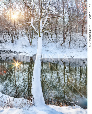 Breathtaking landscape in city park with snowy trees and beautiful frozen river. Breathtaking landscape in city park with snowy trees and beautiful frozen river. 120552967
