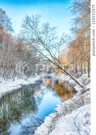 Breathtaking  landscape in city park with snowy trees and beautiful frozen river. 120552975