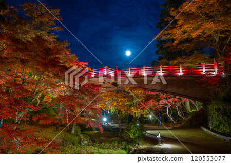 Yahiko Park, Niigata - The illuminated Moon Viewing Bridge at Momiji Valley 120553077