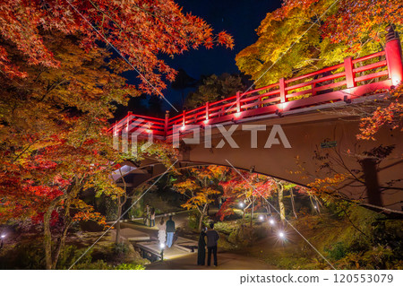 Yahiko Park, Niigata - The illuminated Moon Viewing Bridge at Momiji Valley 120553079