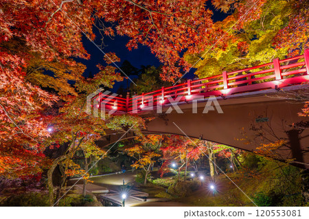新潟彌彥公園楓葉谷觀景橋燈光照明 新潟彌彥公園楓葉谷觀景橋燈光照明 120553081