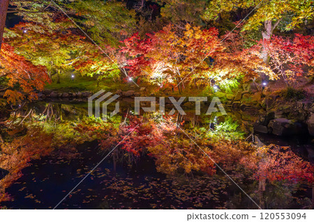 Yahiko Park, Niigata, Momiji Valley illuminated at night Yahiko Park, Niigata, Momiji Valley illuminated at night 120553094