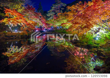 彌彥公園、新潟、紅葉谷在夜間被照亮 120553098