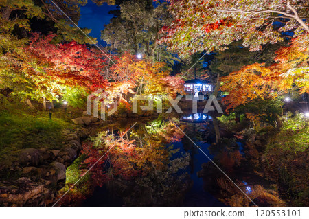 Yahiko Park, Niigata, Momiji Valley illuminated at night Yahiko Park, Niigata, Momiji Valley illuminated at night 120553101
