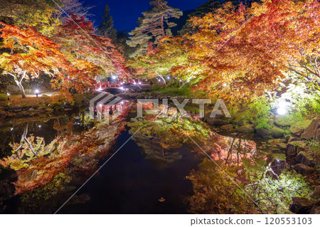 Yahiko Park, Niigata, Momiji Valley illuminated at night 120553103