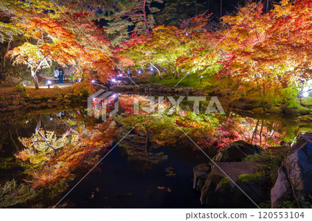彌彥公園、新潟、紅葉谷在夜間被照亮 彌彥公園、新潟、紅葉谷在夜間被照亮 120553104