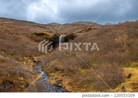 Forest and a waterfall, west Iceland Forest and a waterfall, west Iceland 120553109