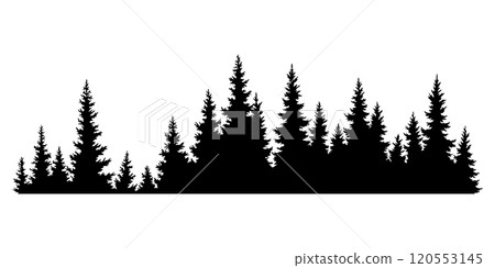 Fir trees silhouette. Coniferous spruce horizontal background pattern, black evergreen woods vector illustration. Beautiful hand drawn panorama of coniferous forest 120553145