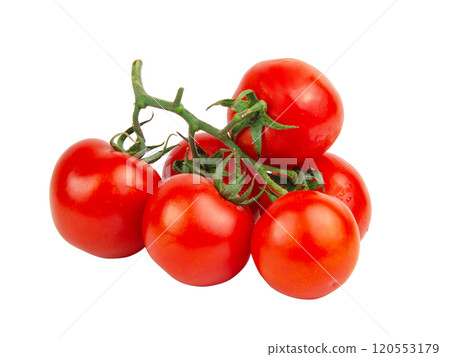 Red fresh tomatoes branch isolated on the white background 120553179