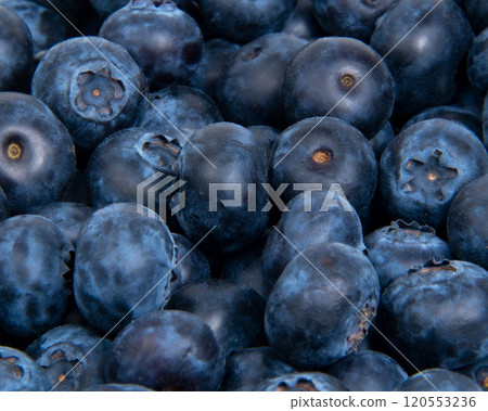 Fresh blueberry texture or background 120553236