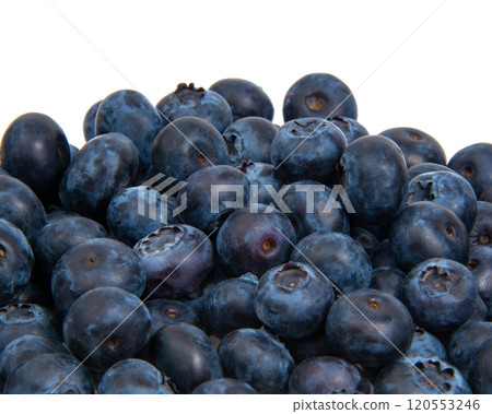 Perfect blueberry isolated on the white background Perfect blueberry isolated on the white background 120553246