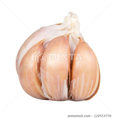Dried spicy garlic isolated on the white background Dried spicy garlic isolated on the white background 120553770
