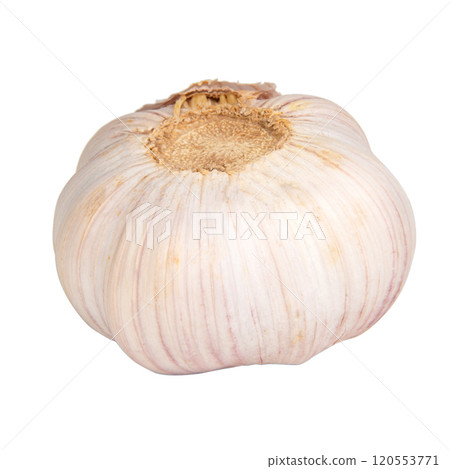 Dried spicy garlic isolated on the white background Dried spicy garlic isolated on the white background 120553771