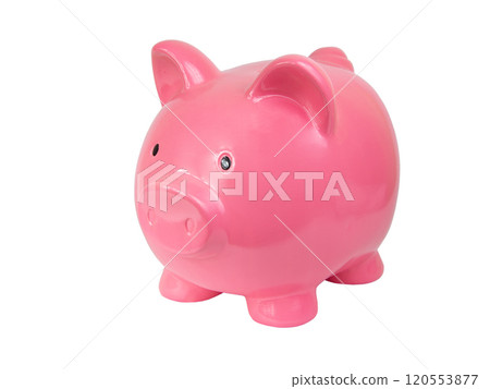 Pink piggy bank isolated on the white background Pink piggy bank isolated on the white background 120553877