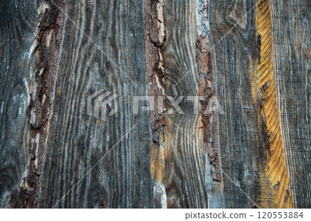 Dark tree wood board background texture 120553884