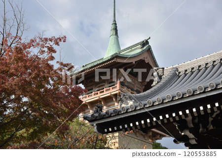 秋天的大雲院只園閣(京都市東山區) 秋天的大雲院只園閣(京都市東山區) 120553885