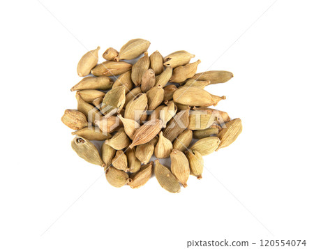 Cardamom spice isolated on the white background 120554074