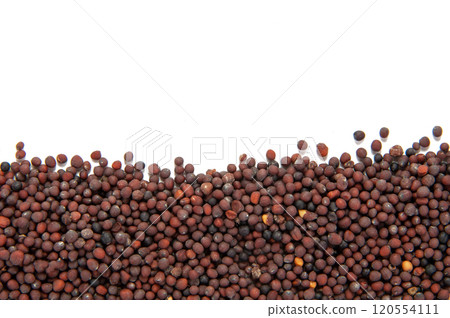 Dry mustard black seeds isolted on the white background 120554111