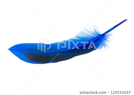 Decorated blue elegant feather isolated on the white background Decorated blue elegant feather isolated on the white background 120554287