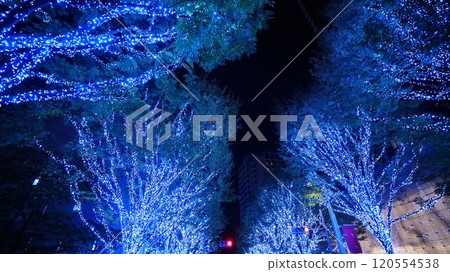 Blue illuminations at Roppongi Hills 120554538