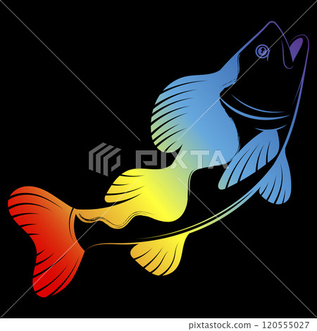 Rainbow color fish on black background 120555027