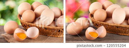 eggs in a wicker basket on a wooden board with blurred garden background eggs in a wicker basket on a wooden board with blurred garden background 120555204