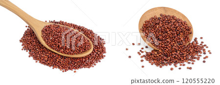 red quinoa seeds in wooden spoon and bowl isolated on white background with full depth of field red quinoa seeds in wooden spoon and bowl isolated on white background with full depth of field 120555220