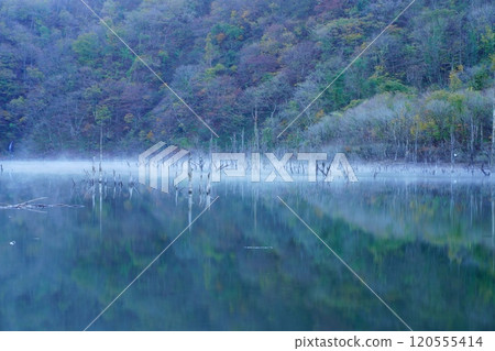 Late autumn at Tokuyama Dam Lake and autumn leaves 120555414