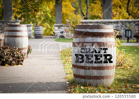 Craft beer. Large wooden barrels in the park on the street Craft beer. Large wooden barrels in the park on the street 120555580